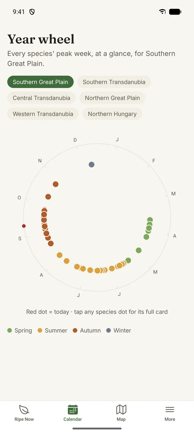 Year wheel: species peaks plotted around a circle of months, coloured by season.
