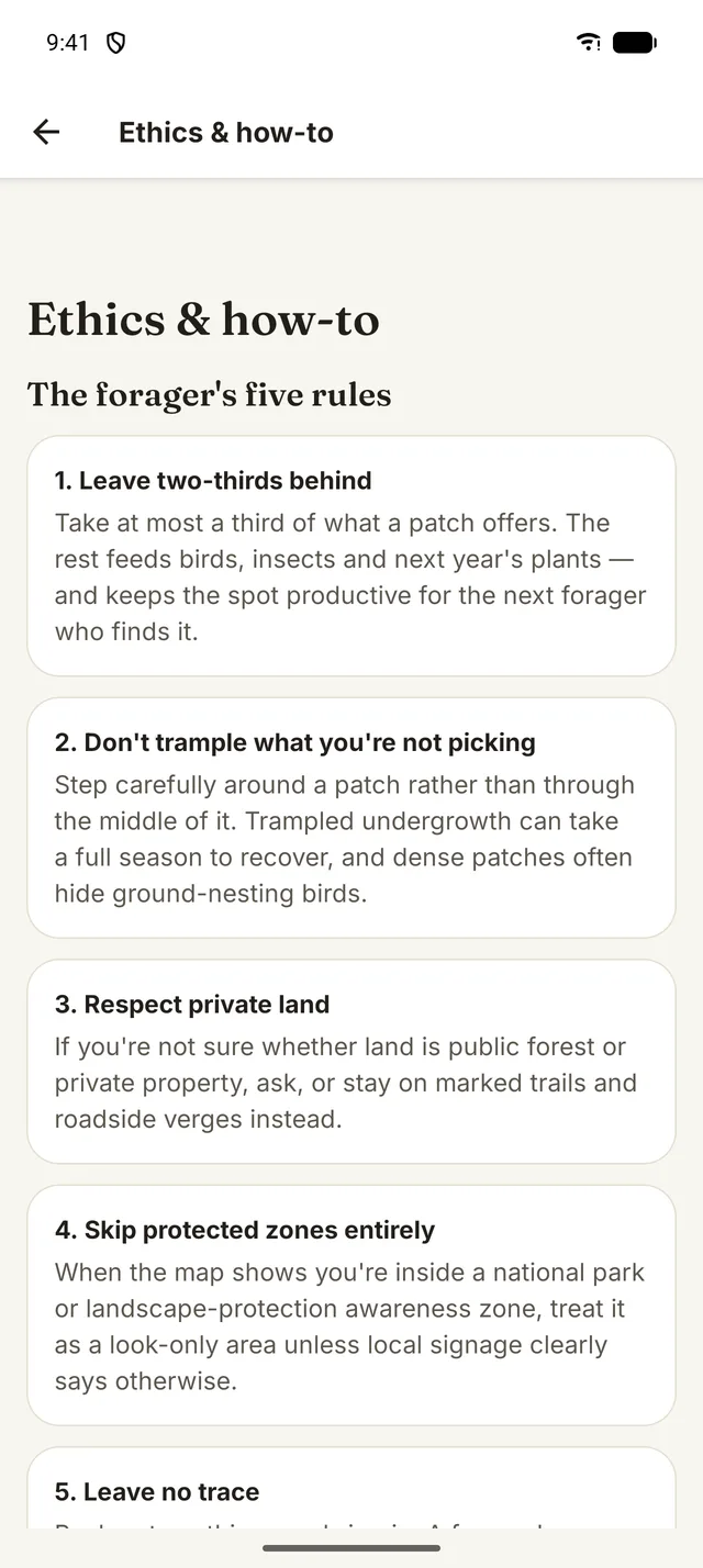 Ethics and how-to: the forager's five rules.