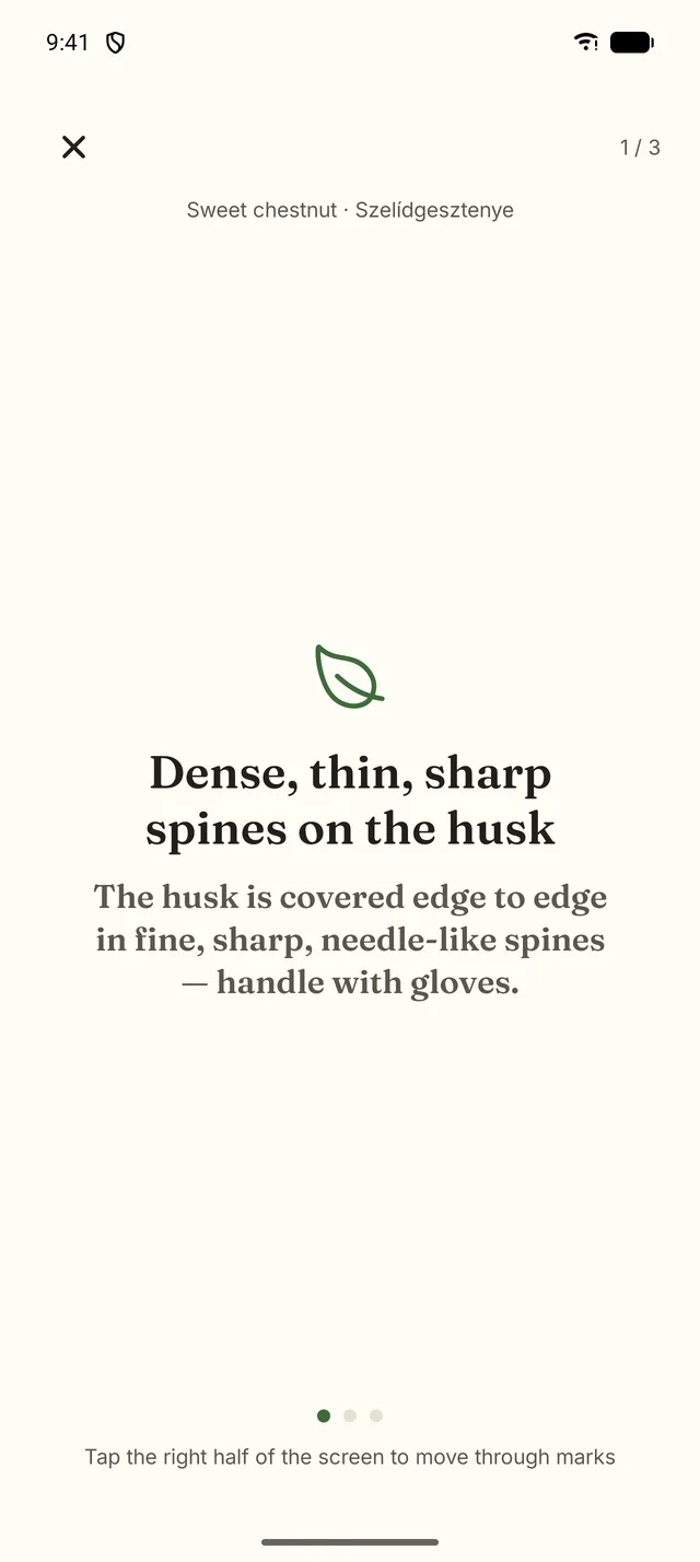 Field mode, mark 1 of 3: dense, thin, sharp spines on the husk.