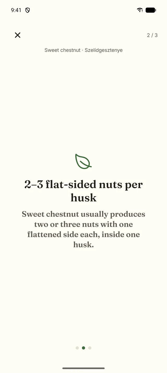 Field mode, mark 2 of 3: two to three flat-sided nuts per husk.