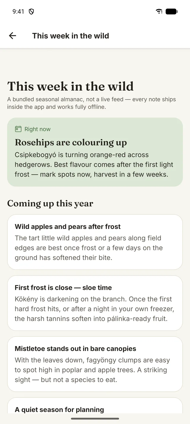 This week in the wild: rosehips are colouring up, and notes on what's coming up this year.